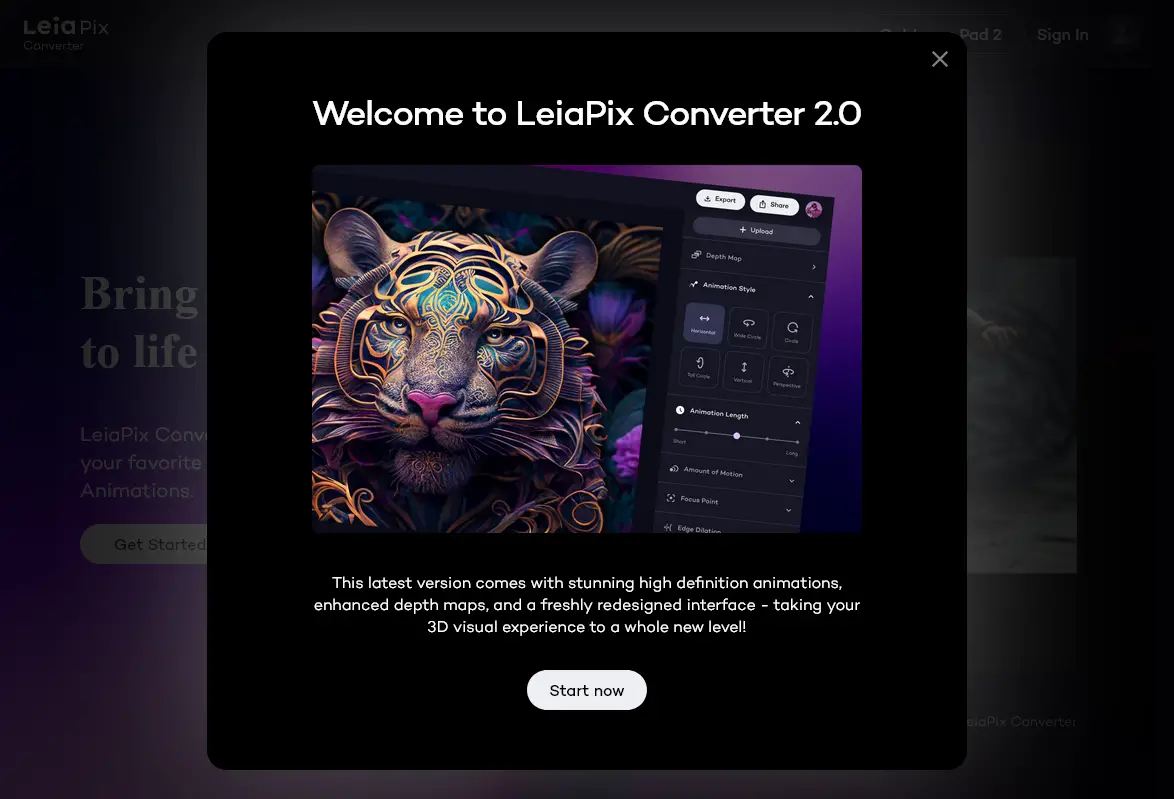 Leiapix Converter